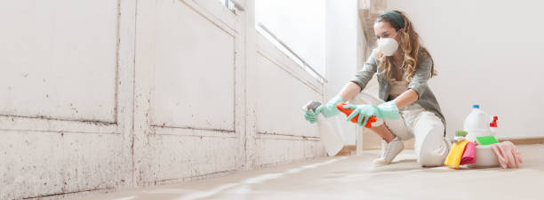 Mold Remediation for Rental Properties in Moss Bluff, LA